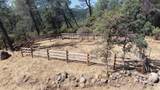 93.57 Acre Backbone Road - Photo 34