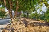 2405 Butte Street - Photo 41