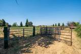 22058 Lone Tree Road - Photo 66
