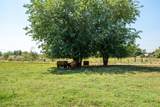 22058 Lone Tree Road - Photo 73