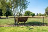 22058 Lone Tree Road - Photo 74
