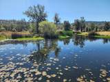 28433 Wild Rose Lane - Photo 197