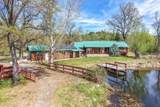 28433 Wild Rose Lane - Photo 2