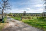 28433 Wild Rose Lane - Photo 4