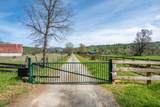 28433 Wild Rose Lane - Photo 6