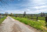 28433 Wild Rose Lane - Photo 7