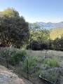 18225 Skyline Drive - Photo 3