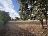 1636 Diamond Street - Photo 41