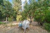 1121 Pattison Ranch Road - Photo 39