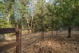 1121 Pattison Ranch Road - Photo 40