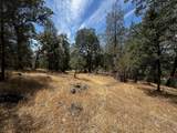 0000 Backbone Road - Photo 8