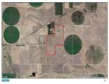 557435 Center School House Road - Photo 4