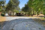 11961 Cedar Tree Lane - Photo 19