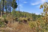 15393 California 299 - Photo 43