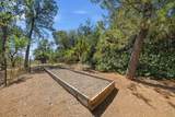 13606 Jeep Trail - Photo 45