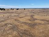  Millville Plains Road - Photo 18