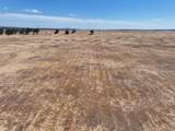  Millville Plains Road - Photo 25