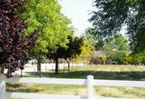 2520 Majestic Oak - Photo 3