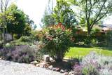 2520 Majestic Oak - Photo 41