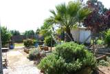 2520 Majestic Oak - Photo 49