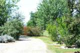 2520 Majestic Oak - Photo 60