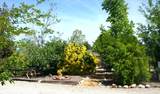 2520 Majestic Oak - Photo 63