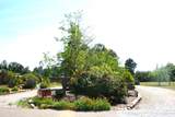 2520 Majestic Oak - Photo 71