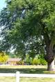 2520 Majestic Oak - Photo 72