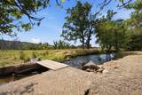 27591 Whitmore Road - Photo 43
