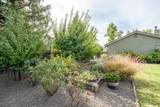 2238 Cilantro Drive - Photo 20