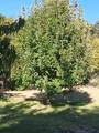 25242 Center Street - Photo 26