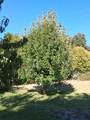 25242 Center Street - Photo 27