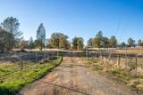 11672 Roberta Way - Photo 39