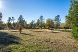 11672 Roberta Way - Photo 41