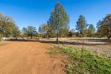 11672 Roberta Way - Photo 43