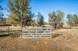 11672 Roberta Way - Photo 44