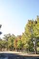 22738 River View Drive - Photo 10