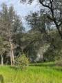 22738 River View Drive - Photo 2