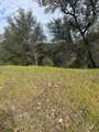 22738 River View Drive - Photo 4