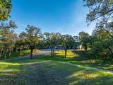 14815 Molluc Drive - Photo 29