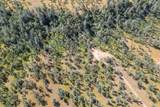 0000 Racoon Way - Photo 30