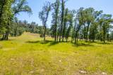 0000 Racoon Way - Photo 34