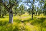 0000 Racoon Way - Photo 37