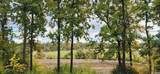 4 3192 River Street - Photo 17