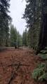 0 Range Road - Photo 23