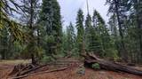 0 Range Road - Photo 24