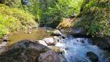 000 Woodcutters Way - Photo 1