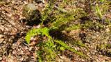 000 Woodcutters Way - Photo 32