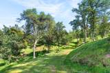 8725 Landmark Circle - Photo 49