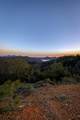 000 Morning Mist Drive - Photo 14